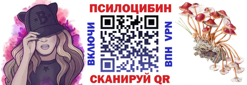 Галлюциногенные грибы Psilocybine cubensis Ворсма